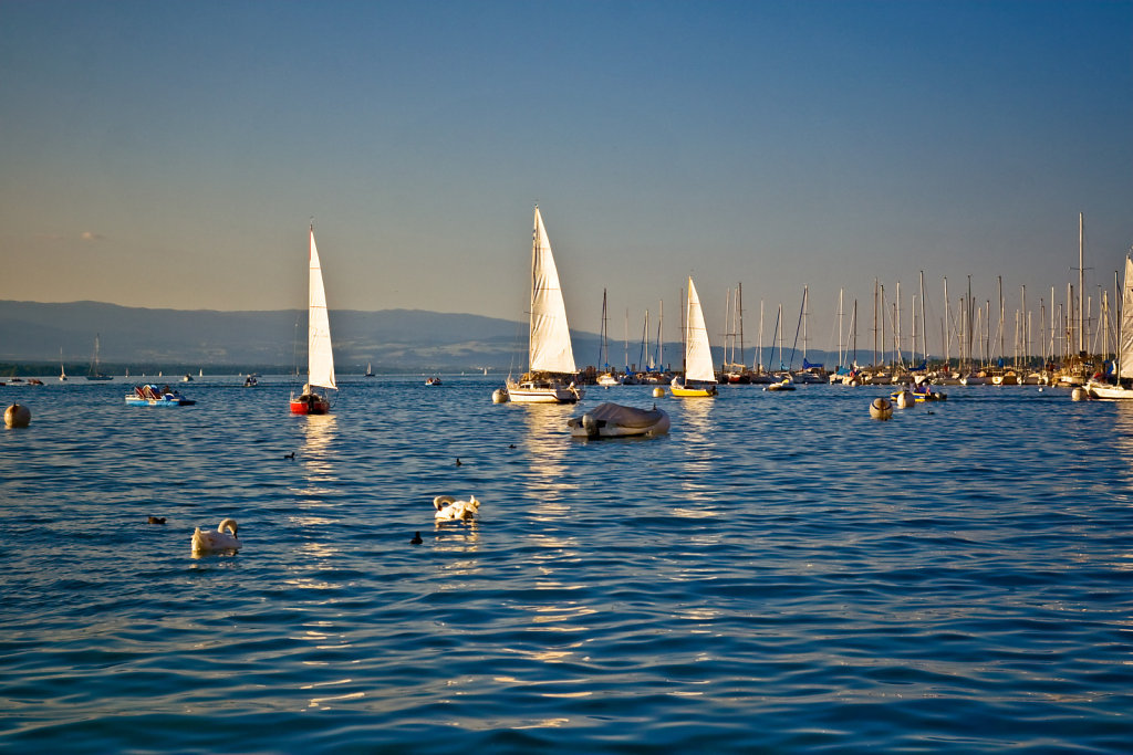 Geneva