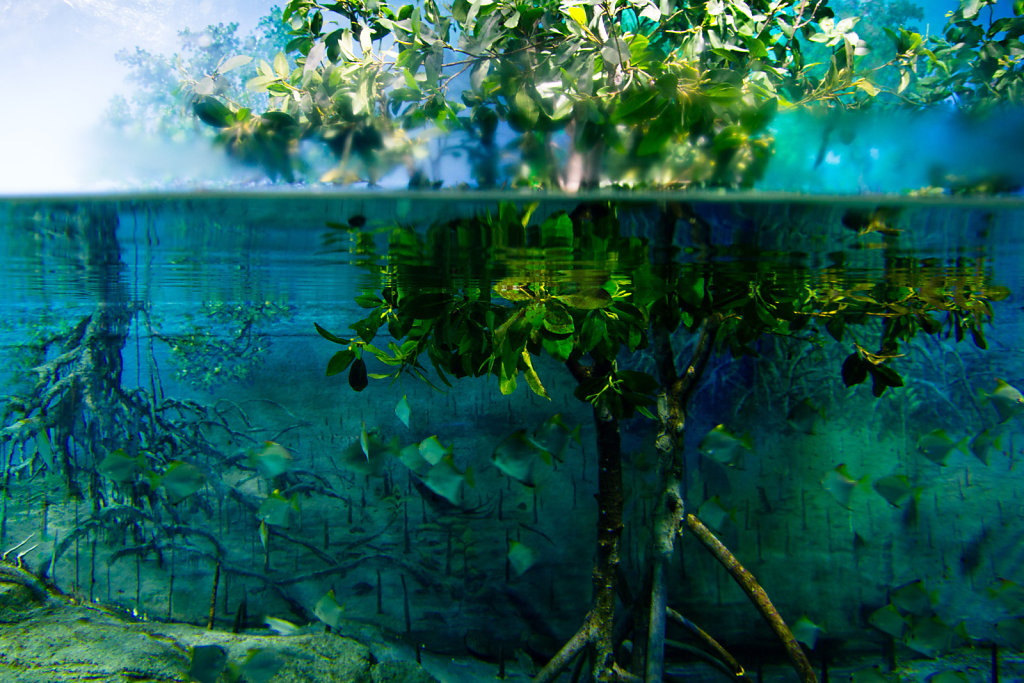 Underwater