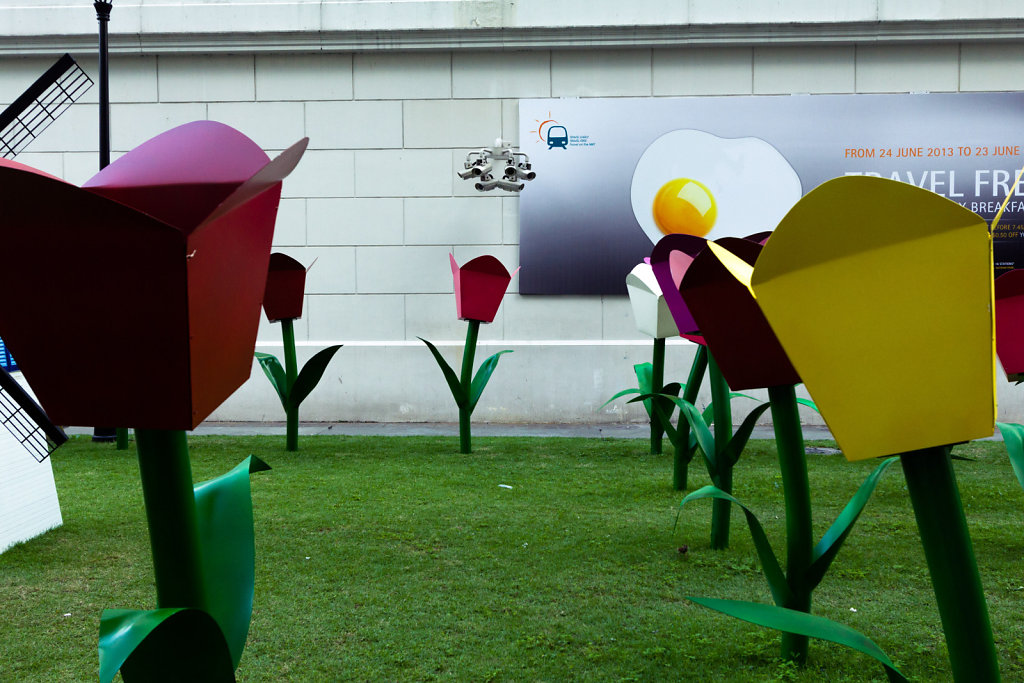 Tulips under surveillance