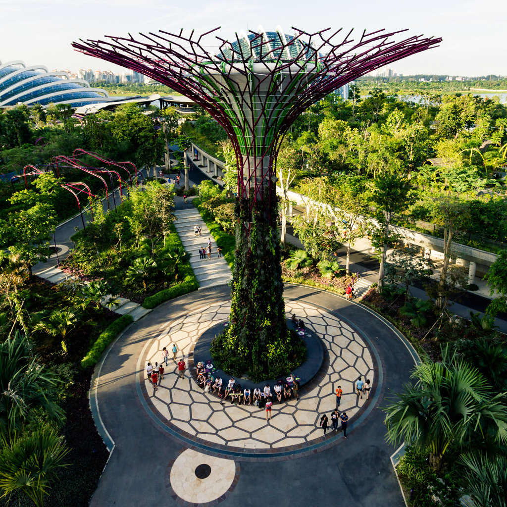Supertree