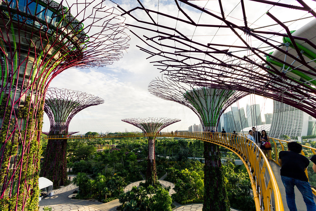 Supertrees