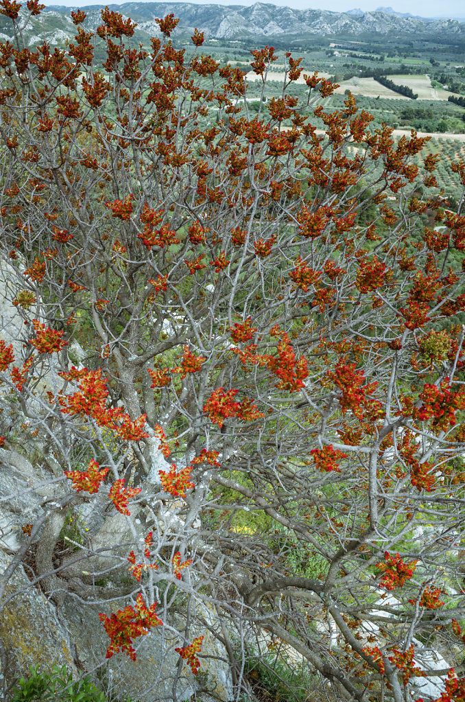 R0032354.jpg