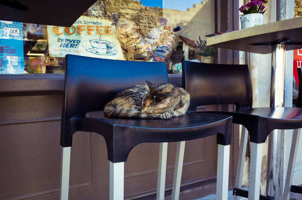 Cretan cat takes a nap after coffee