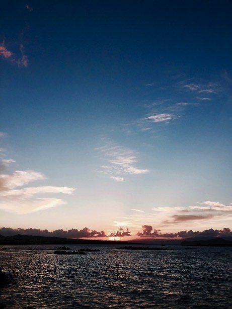 IMG-9231.jpg
