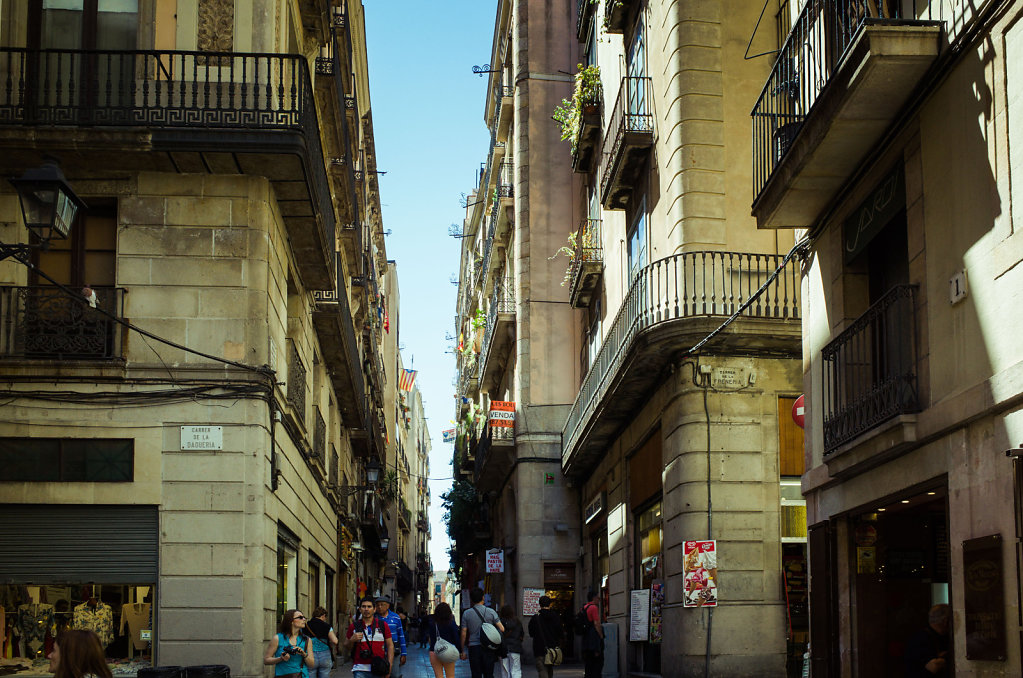 R0022517.jpg