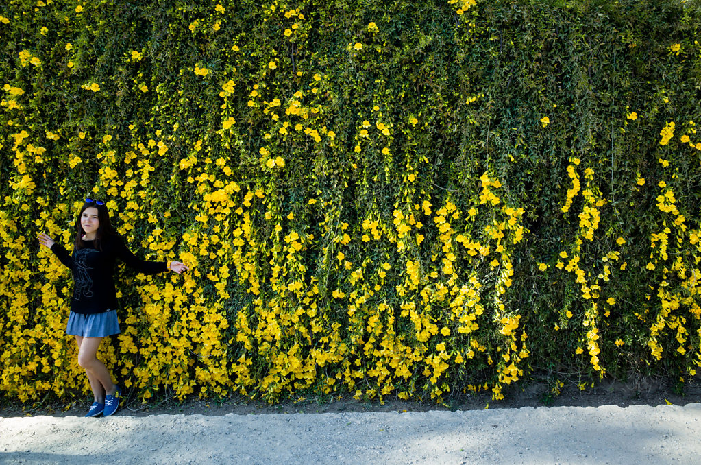 Trapped in a wall of flowers