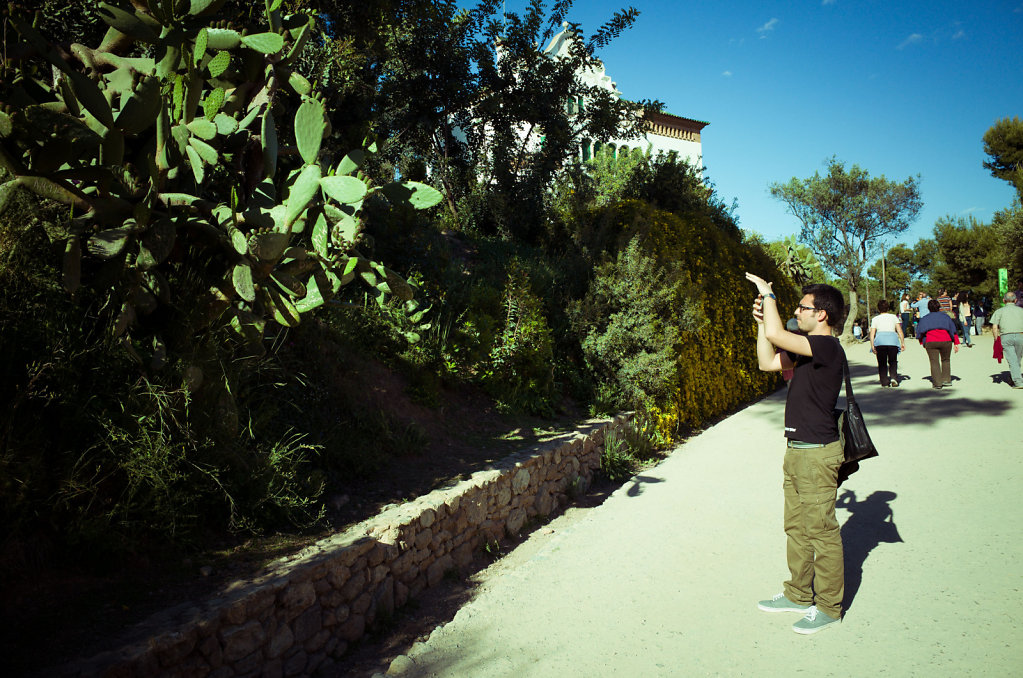Cacti, Barcelona
