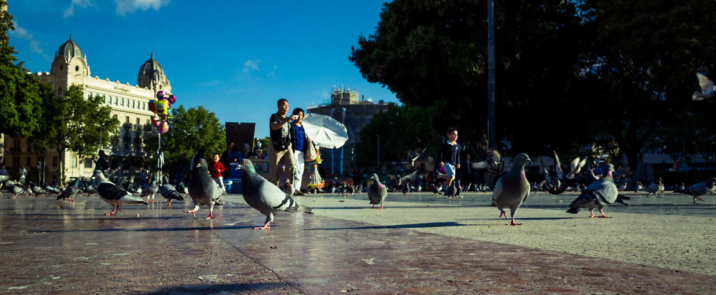 Pigeons secretly rule the world, Barcelona