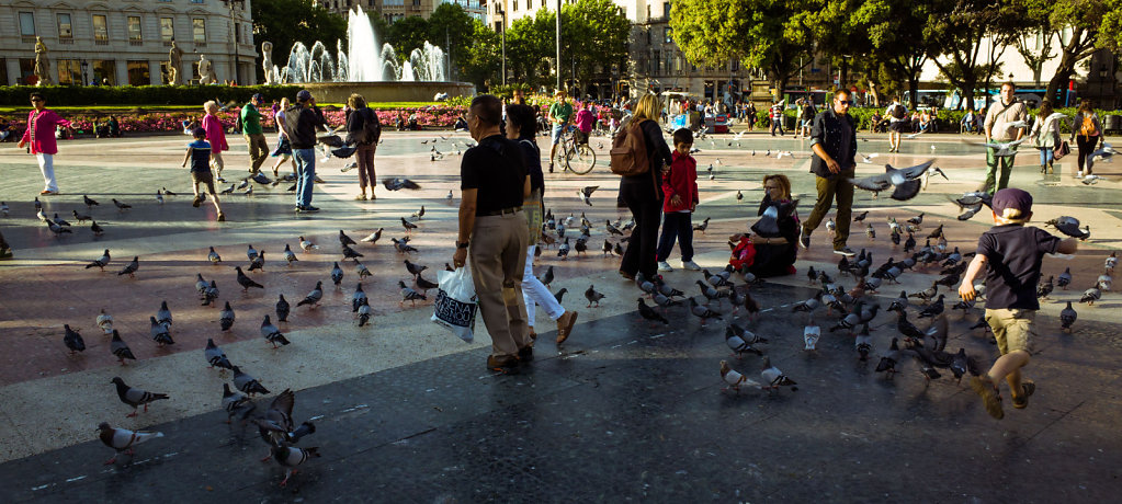 Pigeons, Barcelona