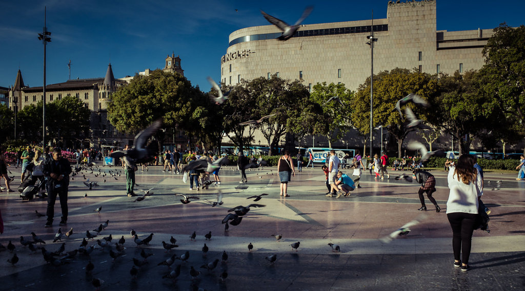 Pigeons, Barcelona