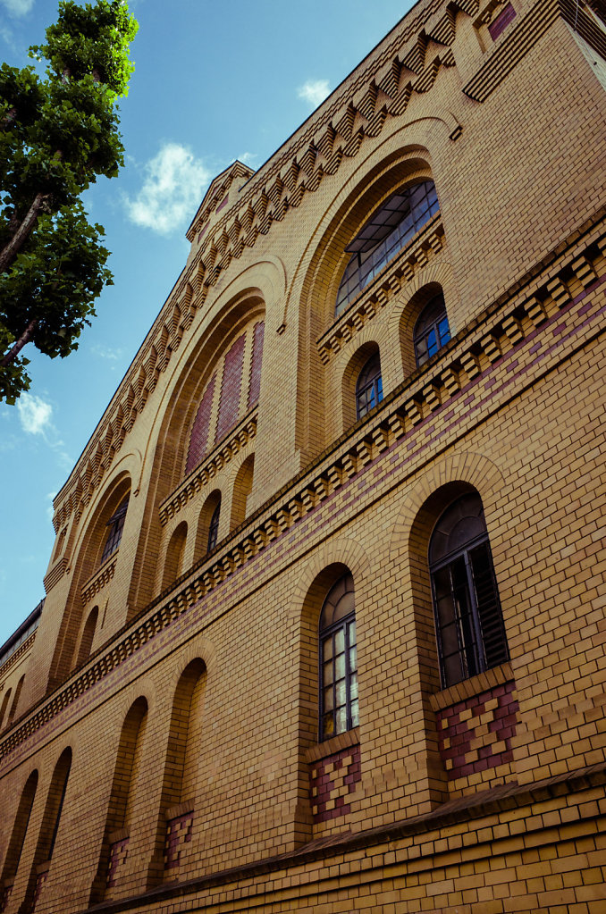 R0038762.jpg