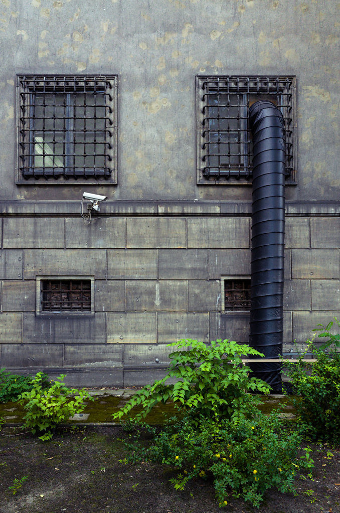 R0038838.jpg