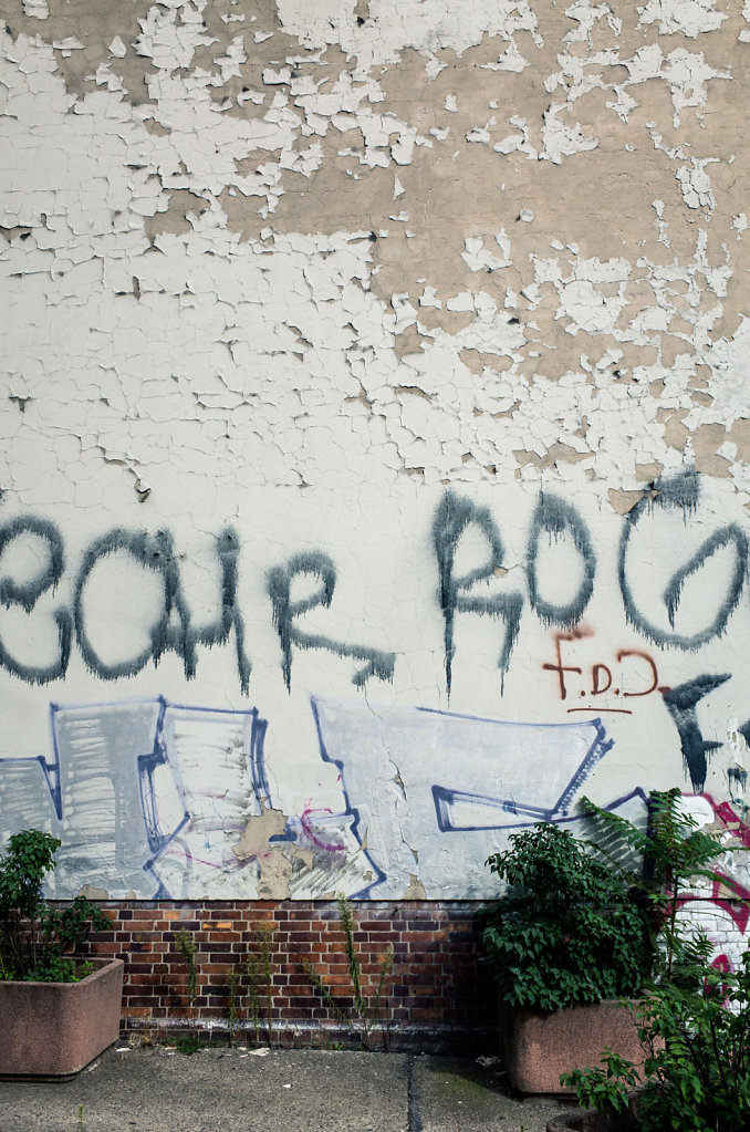 R0039579.jpg