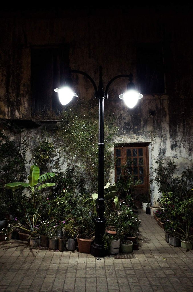 Street light and plants
