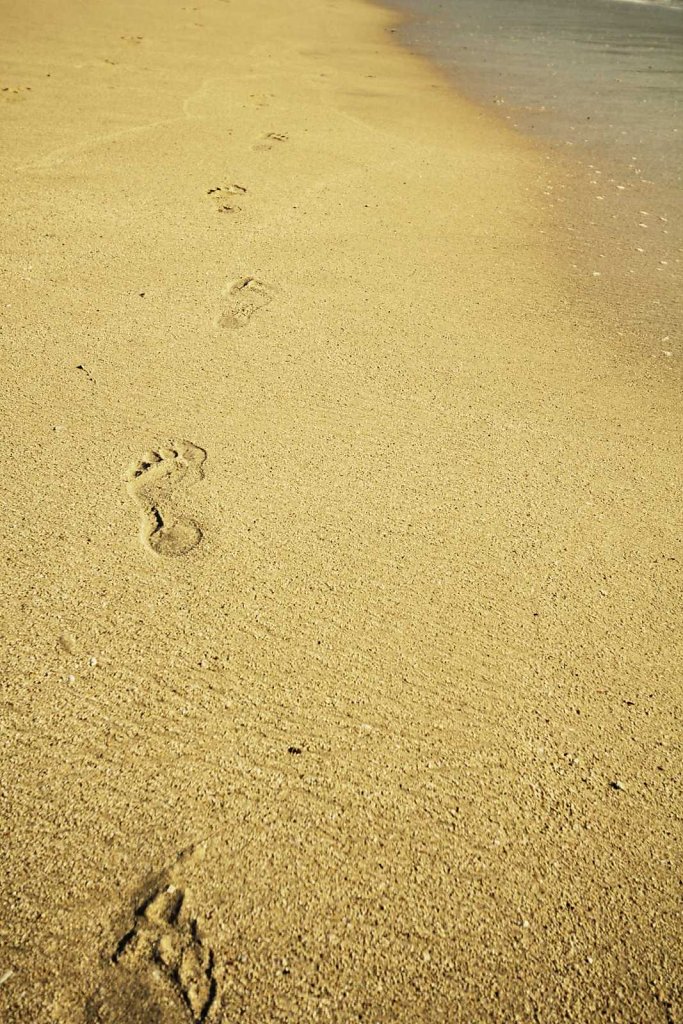 The obligatory “steps on the beach” photo.