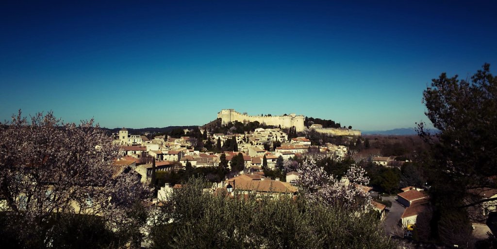 Fort Saint André seen from Avignon