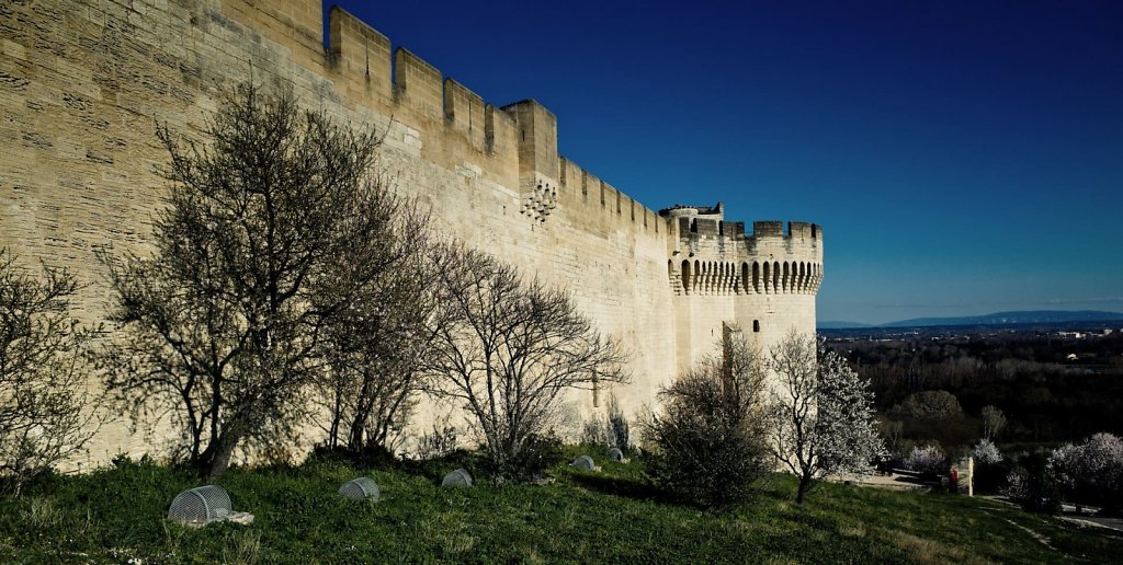 Fort Saint Andre