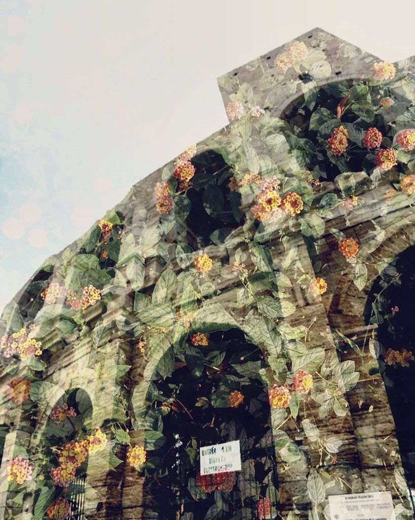 Arles