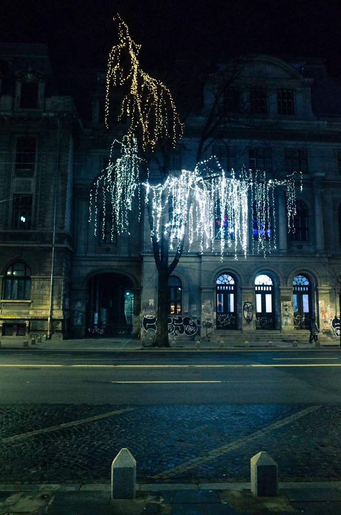 Festive lighting in a tree, Bucharest