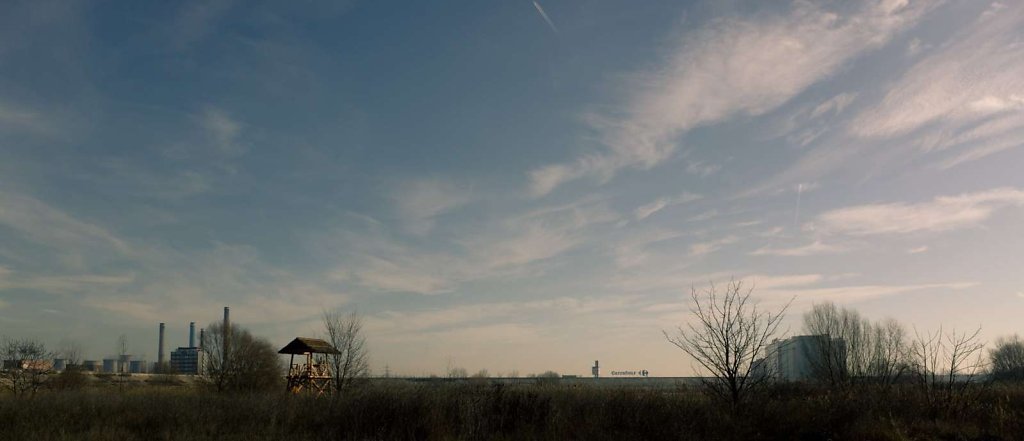 Văcărești Natural Park, Bucharest