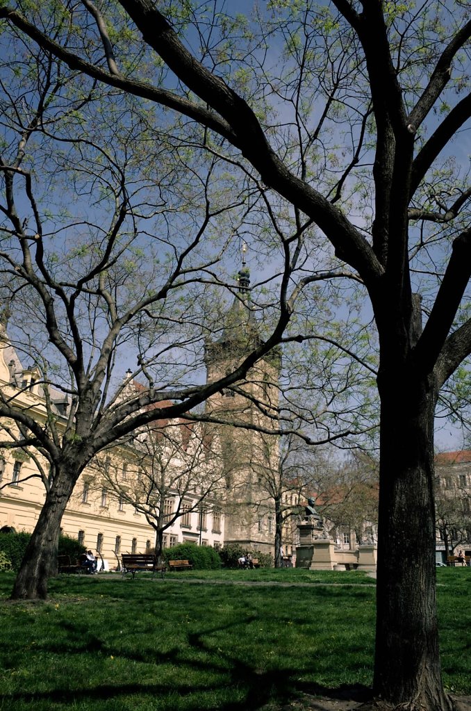 R0043078.jpg